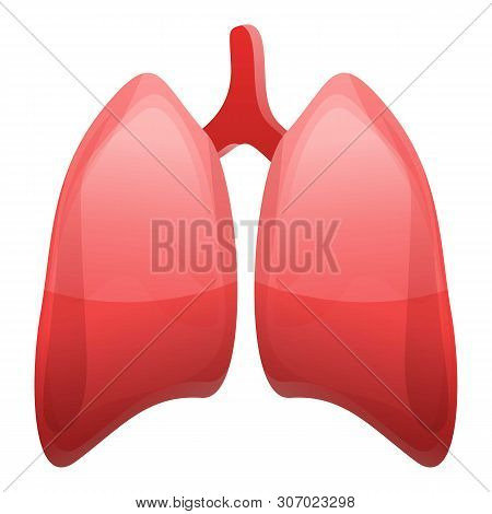 Human Lungs Icon. Cartoon Of Human Lungs Vector Icon For Web Design Isolated On White Background