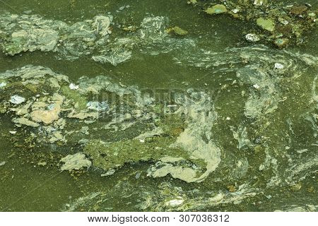 Dirty Wave With Old Dirty Algae. Dirty Seaweed Sea Surf Lines In Seaport. Dirty Sea, Environmental P