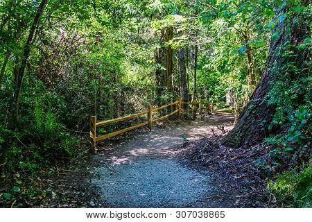 A Fence Lines A Path At Point Defiance Park In Tacoma, Washington.