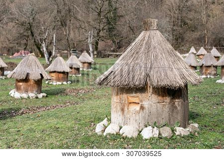 Apiary In The Mountains With Many Hives To Collect Honey. Production Of Pure Mountain Honey. Selecti