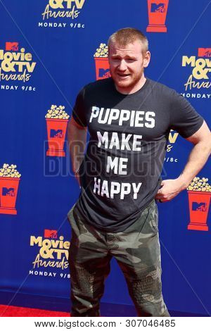 LOS ANGELES - JUN 15:  Wes Bergmann at the 2019 MTV Movie & TV Awards at the Barker Hanger on June 15, 2019 in Santa Monica, CA