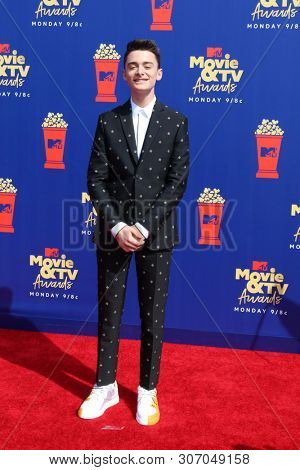 LOS ANGELES - JUN 15:  Noah Schnapp at the 2019 MTV Movie & TV Awards at the Barker Hanger on June 15, 2019 in Santa Monica, CA