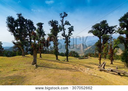 Bugyals, Flat Lands At Upper Himalayas, Uttarakhand, India
