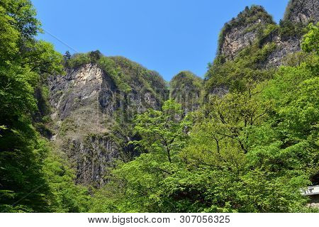 North Korean Scenery. Mountain Forest. Ulim Waterfall Trekking Route