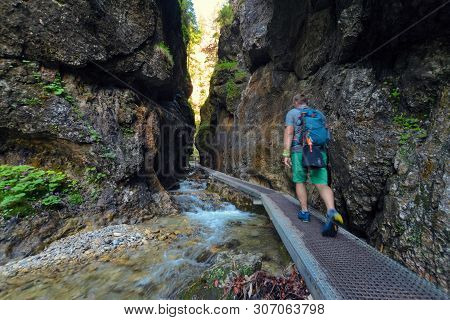 Tourist Goes In The Forest In Upper Holes