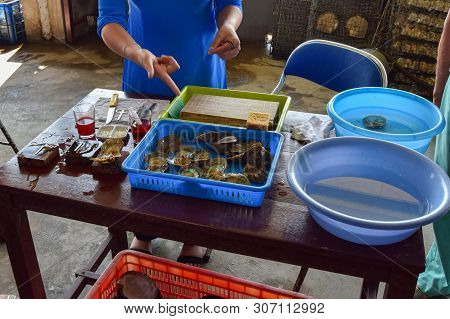 Woman Working On Extracting Pearls From Oyster Shells. Vietnamese Factory Near Ha Long Bay