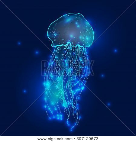 Transparent Glowing Neon Blue And Turquoise Medusa Blubber Jellyfish Set Decorative Background Poste