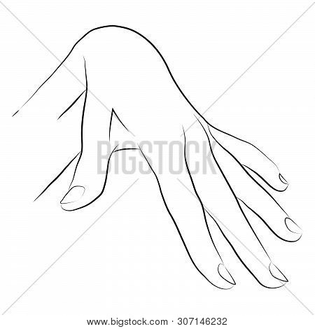 Vector Illustration Of Hand In Simple Outline Style