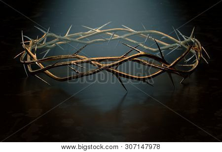 Crown Of Thorns