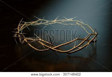 Crown Of Thorns