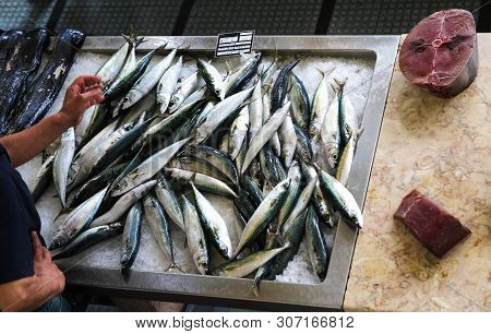 Fish Market, Tuna, Black Scabbard And Sardines In Madeira Island