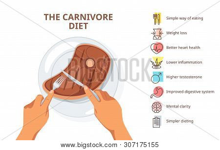 Carnivore Diet Advantages Web Banner Template. Zero Carb Meal, Health Influence Points Poster. Human