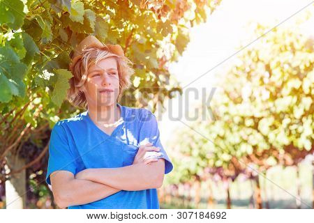 Guy Standing With Arms Folded Posing In Vineyard. Young Winegrower In Vine Row. Portrait Of Blond Fa