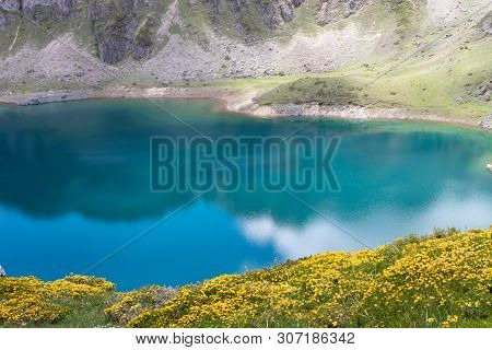 Spring Landscape With Yellow Flowers Near The Saliencia Mountain Lakes. Calabazosa Lake In The Somie