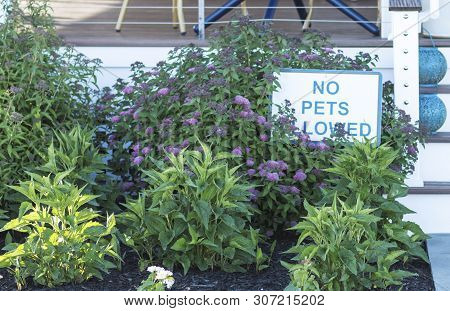 A Garden In Front Of A Restaurants Deck Has A Shite Sign With Blue Letters That Reads No Pets Allowe