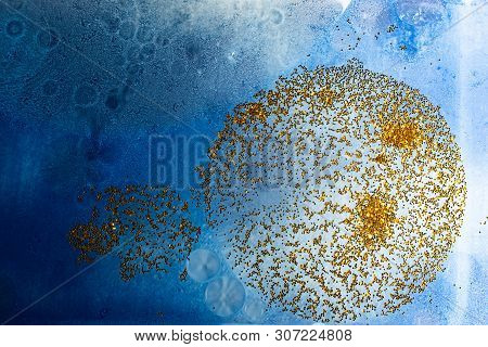 Oil Bubbles Inside Water Base Form Patterns