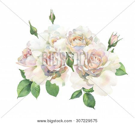 A Bouquet Of Roses On A White Background. For Greetings, Invitations, Greetings