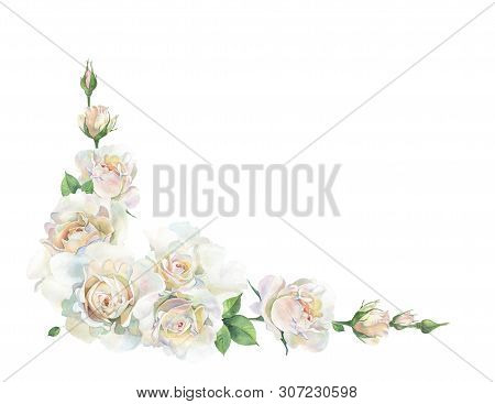 Corner Of Roses On A White Background. For Cards, Invitations And Greetings.