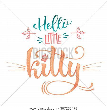 Hello Little Kitty Quote. Baby Shower Hand Drawn Calligraphy Style Lettering Phrase.