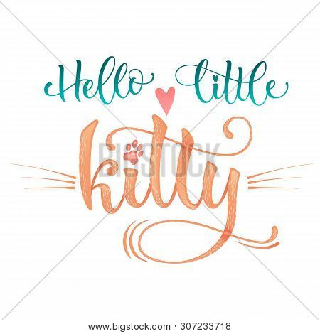 Hello Little Kitty Quote. Baby Shower Hand Drawn Calligraphy Style Lettering Phrase.