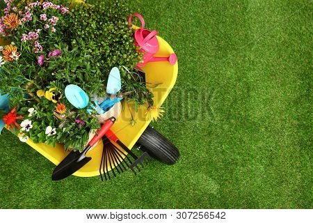 Wheelbarrow With Flowers And Gardening Tools On Grass, Top View. Space For Text