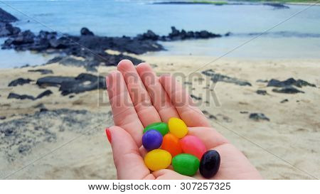 We Love Jelly Belly (big Island, Hawaii)