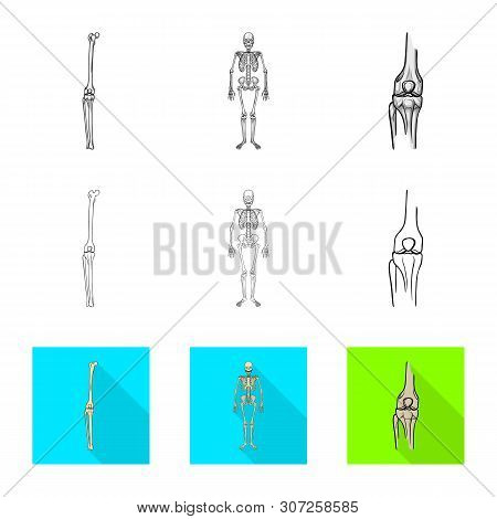 Vector Illustration Of Medicine And Clinic Icon. Set Of Medicine And Medical Vector Icon For Stock.