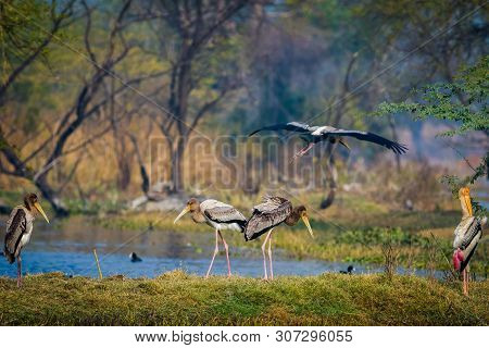 A Nature Painting And Beautiful Wall Decor Scenery Which Is Pleasing To Eyes Created By Painted Stor
