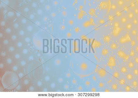 Oil Bubbles Inside Water Base Form Patterns