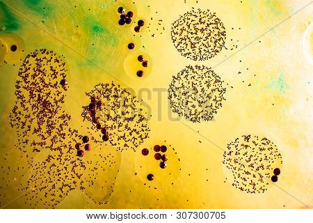 Oil Bubbles Inside Water Base Form Patterns