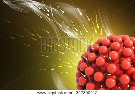 3d Rendered Blastocyst Isolated On A Color Background