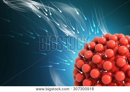 3d Rendered Blastocyst Isolated On A White Background