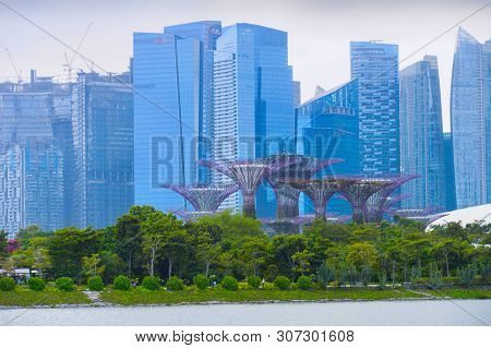 Singapore - February 16, 2017: Singapore Downtown Core Skyline With Gardens By The Bay Trees In The 