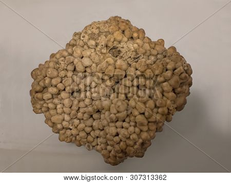 Pea Stone Gravel Is Sought After For Its Light Color, Usually Light Brown To White, And Its Rounded 