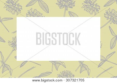 Hand Drawn Flowers And Plants Teamplate Horizontal Cards. Botany, Vintage Flowers.