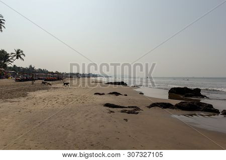 Goa, India - December 20, 2018: View Of The Morjim Beach. Beach Life