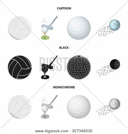 Vector Illustration Of Ball And Soccer Logo. Collection Of Ball And Basketball Vector Icon For Stock