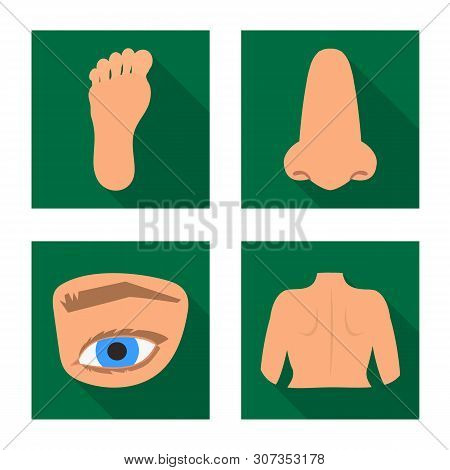 Vector Design Of Body And Part Logo. Set Of Body And Anatomy Stock Symbol For Web.