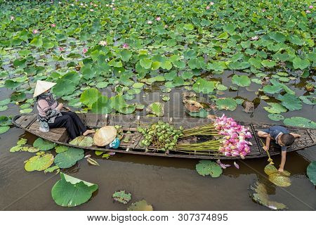 Vietnamese Boy Playing With Mom Boating The Traditional Wooden Boat For Keep The Pink Lotus In The B