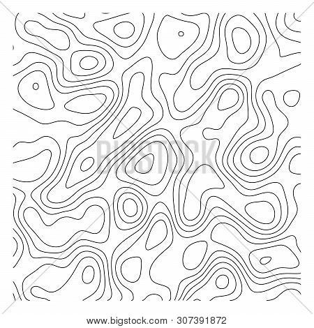 Abstract Topoghrapic Map. Thin Black Contour Lines On White Background. Vector Illustration