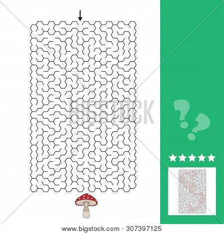 Abstract Maze. Find The Right Path To The Cute Fly Agaric Mushroom. Game For Kids. Puzzle For Childr