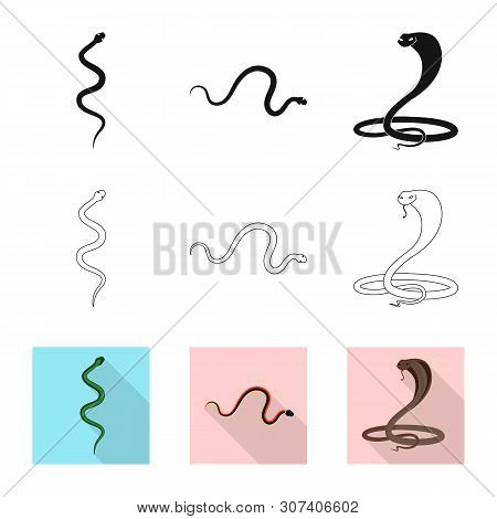 Vector Design Of Mammal And Danger Logo. Set Of Mammal And Medicine Stock Vector Illustration.