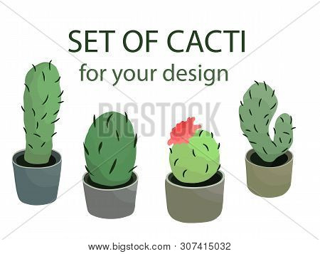 Wonderful Cacti. Vector Illustration. Design For: Postcard, Banner, Textiles. Fashion Print.