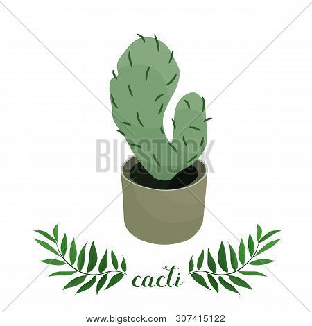 Wonderful Cacti. Vector Illustration. Design For: Postcard, Banner, Textiles. Fashion Print.
