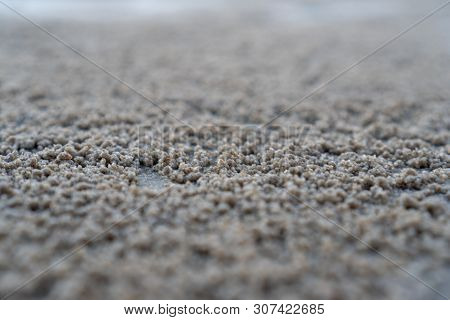 The Floating Groove Of The Habitat Of Horn-eyed Ghost Crab Or Ocypode On The White Sand By The Sea.