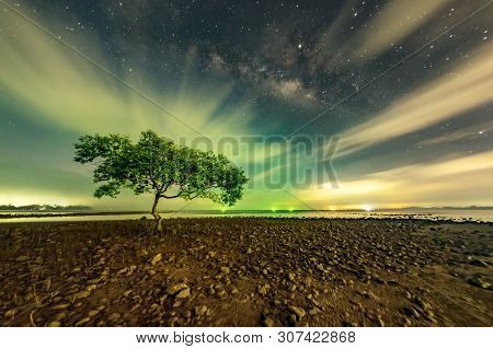 One Tree At Chumphon Beach, Chumphon Province. The Movement Of Clouds And The Milky Way. The Mangrov