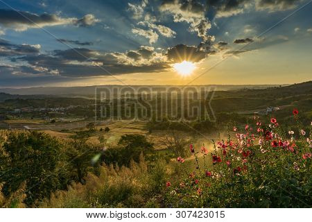 Sunset Behind The Mountain. Flower , Tree And Grass