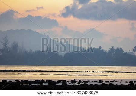 The Seaside Atmosphere At The Early Morning. First Light Before Sunrise. Mangrove Forest.