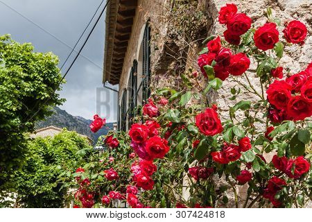 The Famos Old Town In Valdemosse, Mallorca