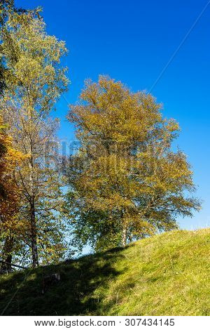 Landscape Near Garmisch Partenkirchen In Bavaria, Germany, Europe